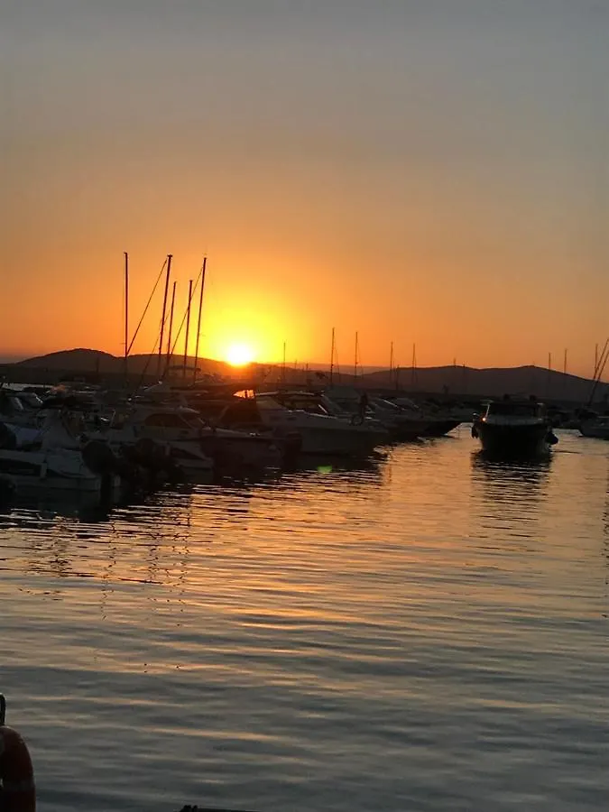 Alghero Vitalba